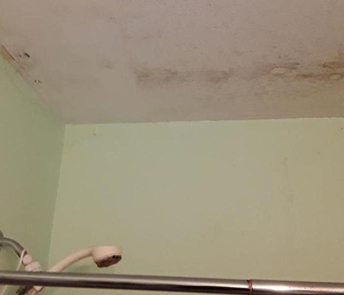 Shower ceiling with black mold spots.