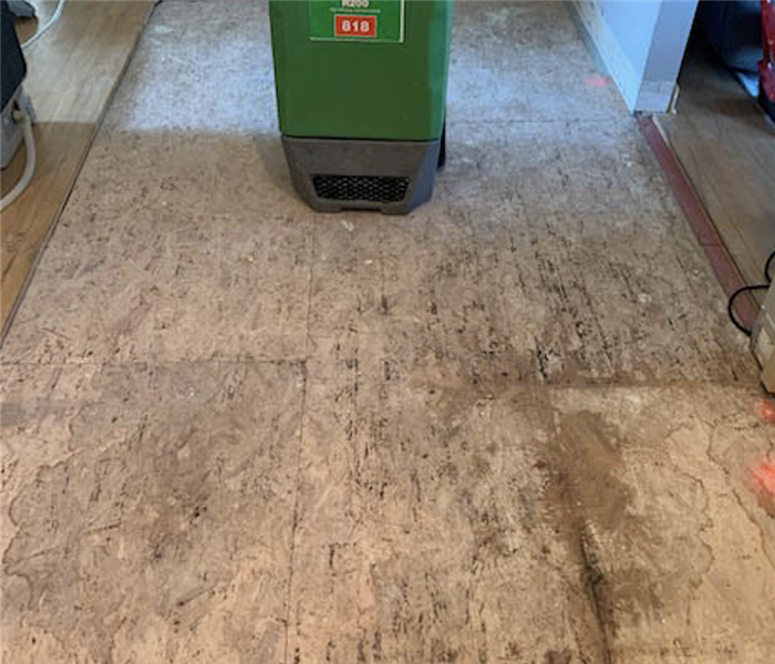 Striped wood flooring with one green piece of SERVPRO equipment. 