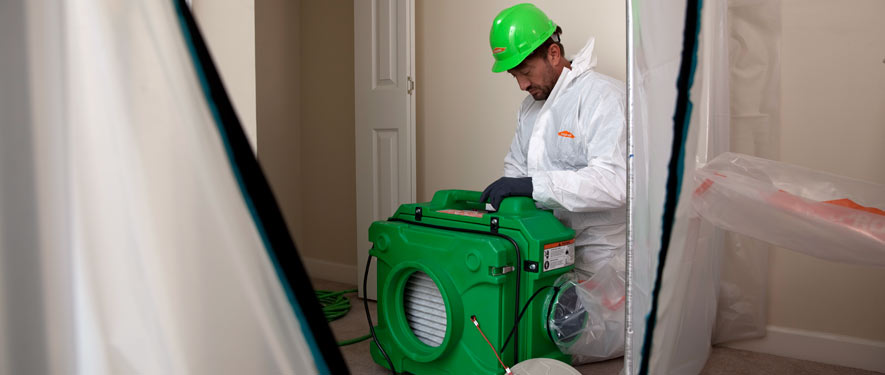 Egg Harbor Township, NJ mold cleanup