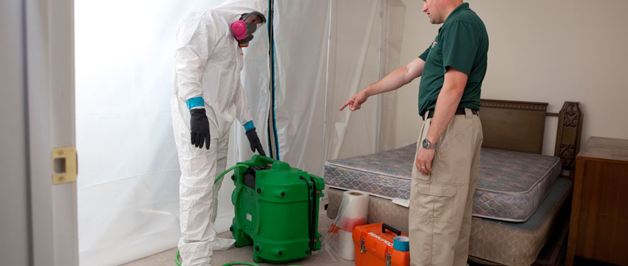 Egg Harbor Township, NJ mold removal process